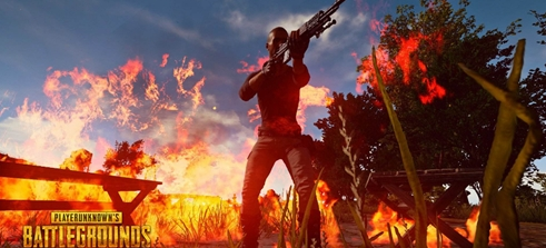 不仅是为了 不仅是为了