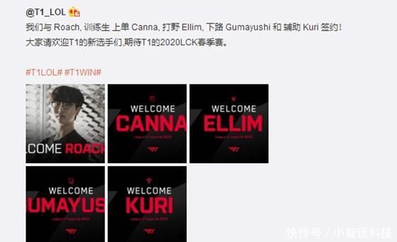 简化包体与 简化包体与