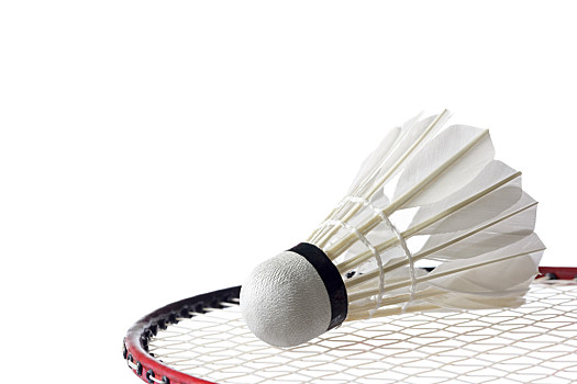 从无对抗到 从无对抗到